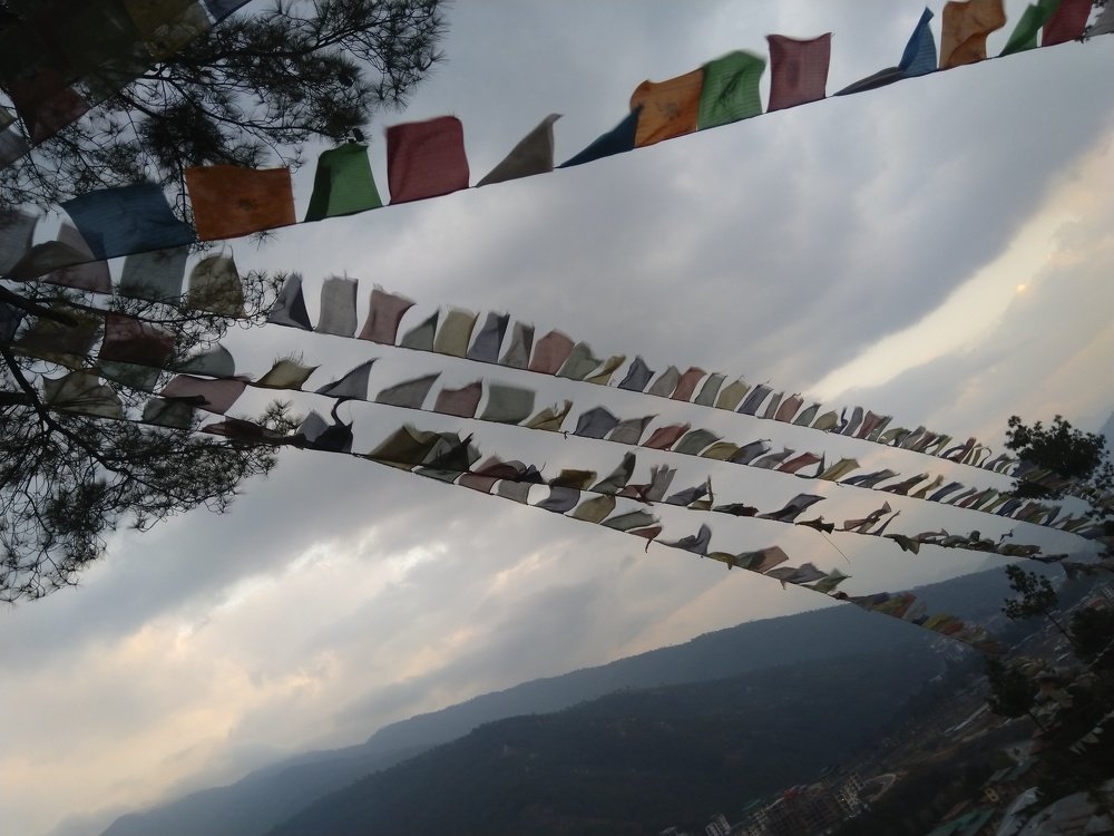 Photo #4516693