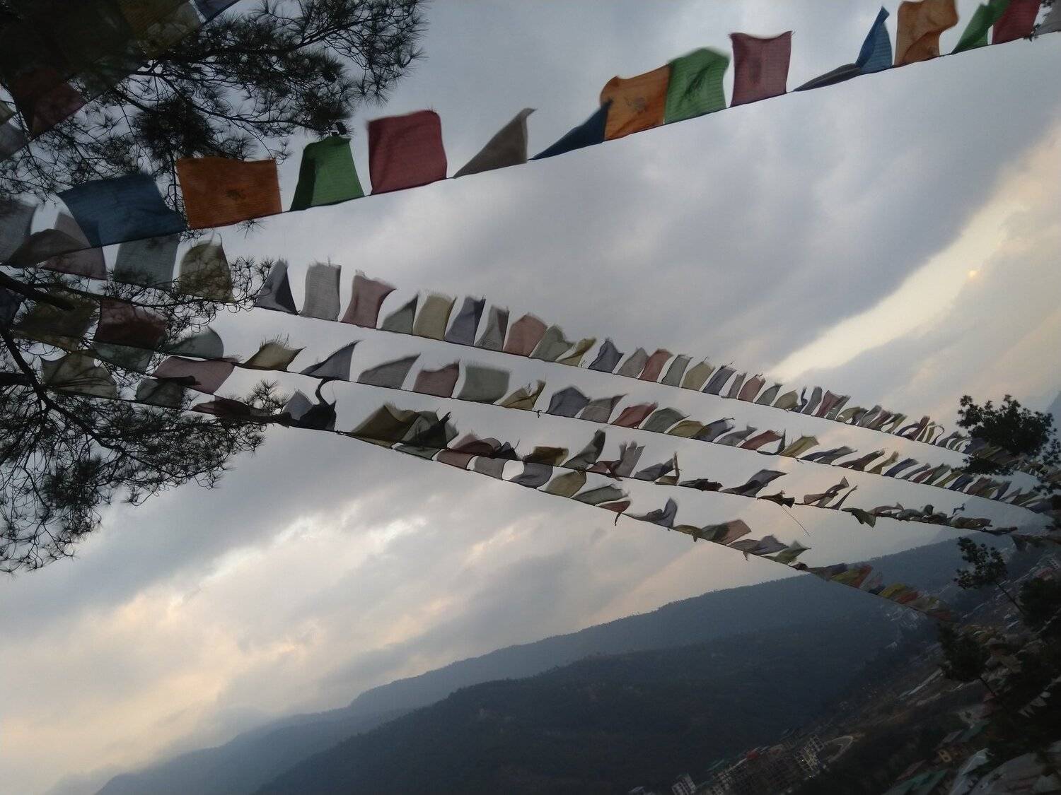 Photo #4516693