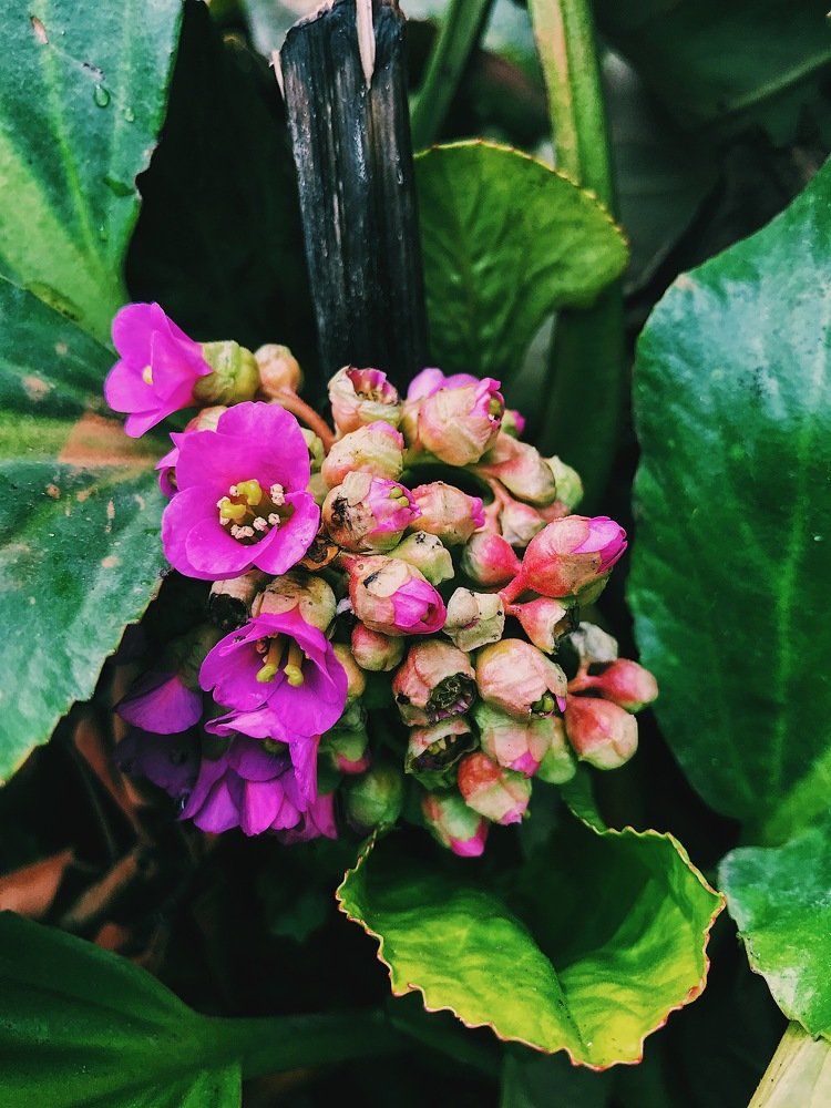 Фотография автора AnnA Shchegrinets