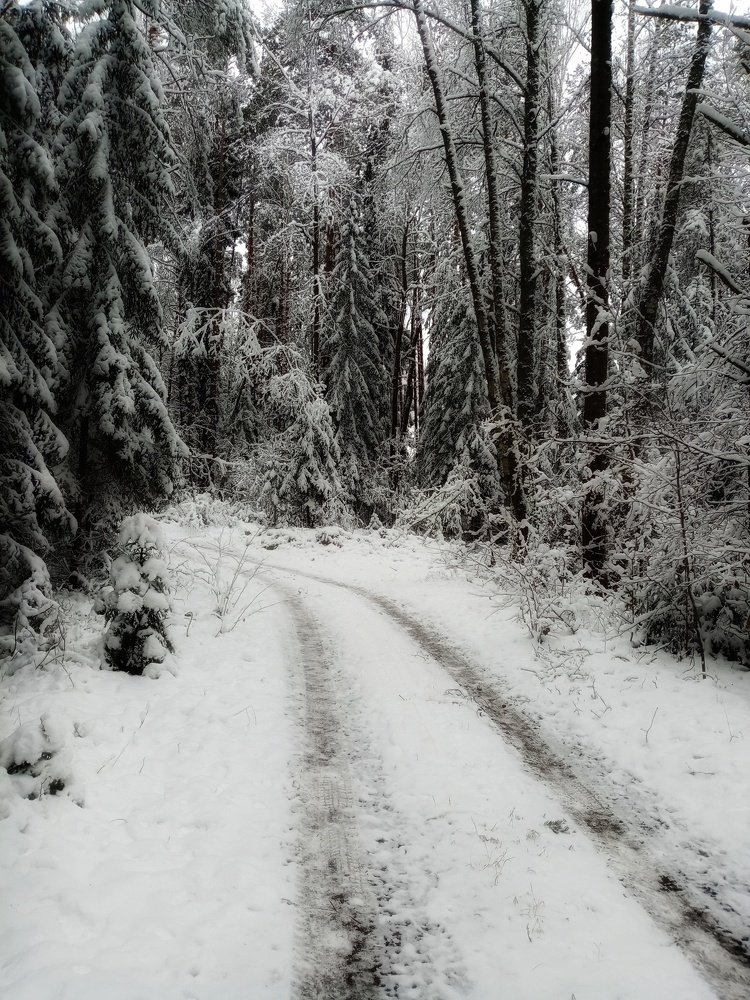 Photograph by Veronica Kravchonok