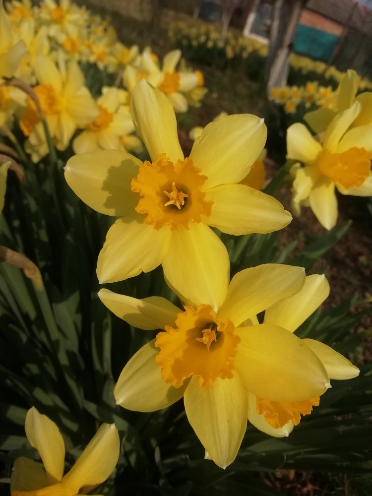 Photograph by Анна Володина