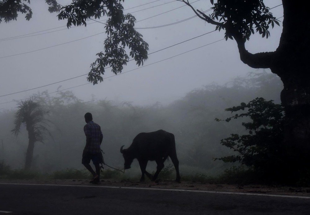 Photograph by Vankayala srikanth