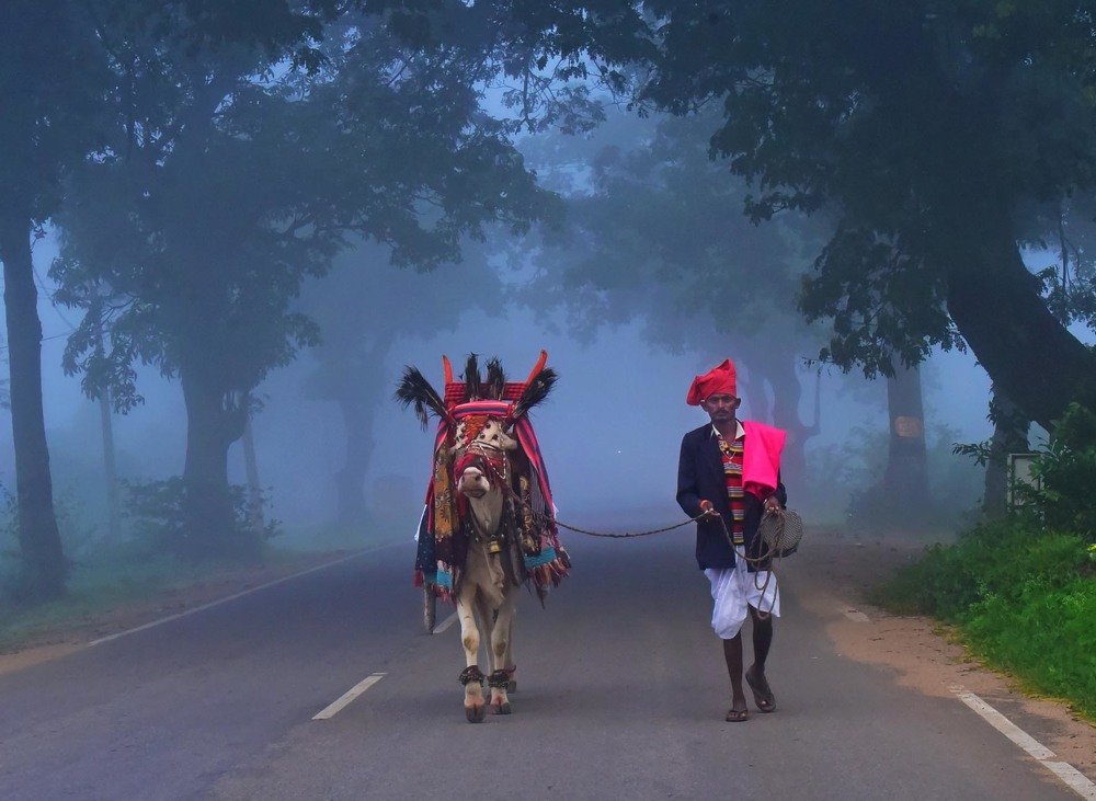 Photograph by Vankayala srikanth