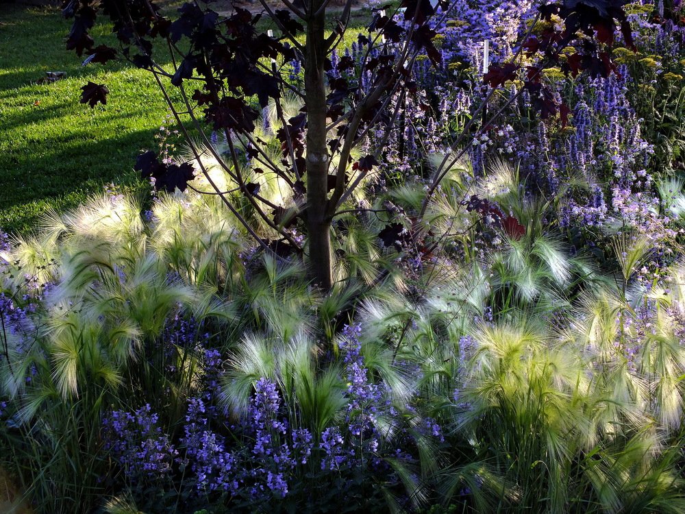 Photograph by Наталия Сляднева