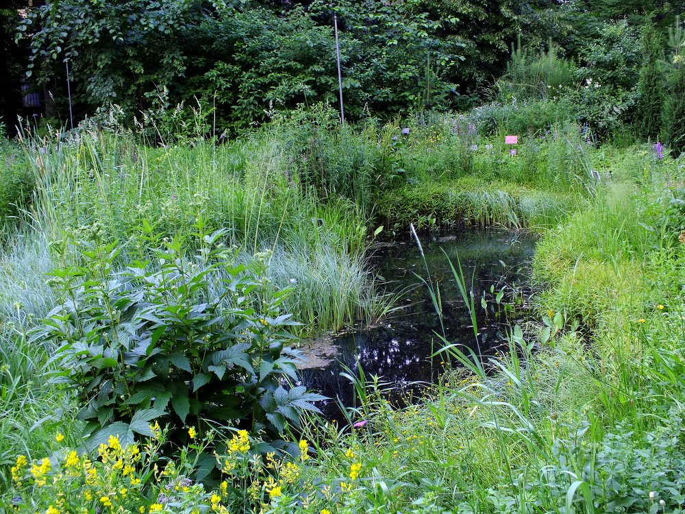 Photograph by Наталия Сляднева