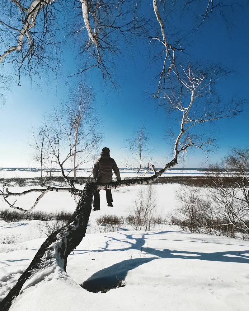 Наслаждаясь тишиной