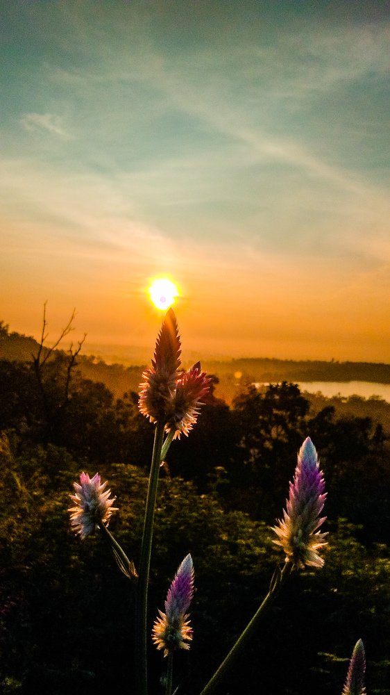 Rising sun