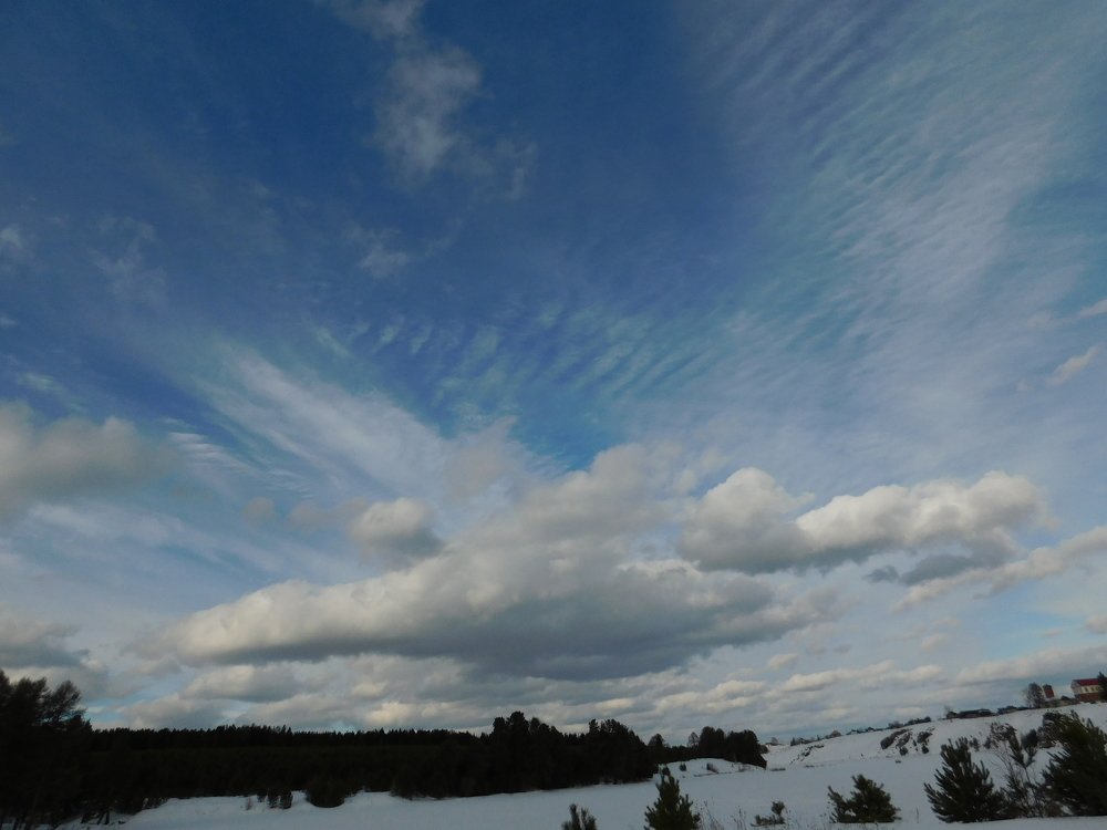 Photograph by Чкареули Светлана