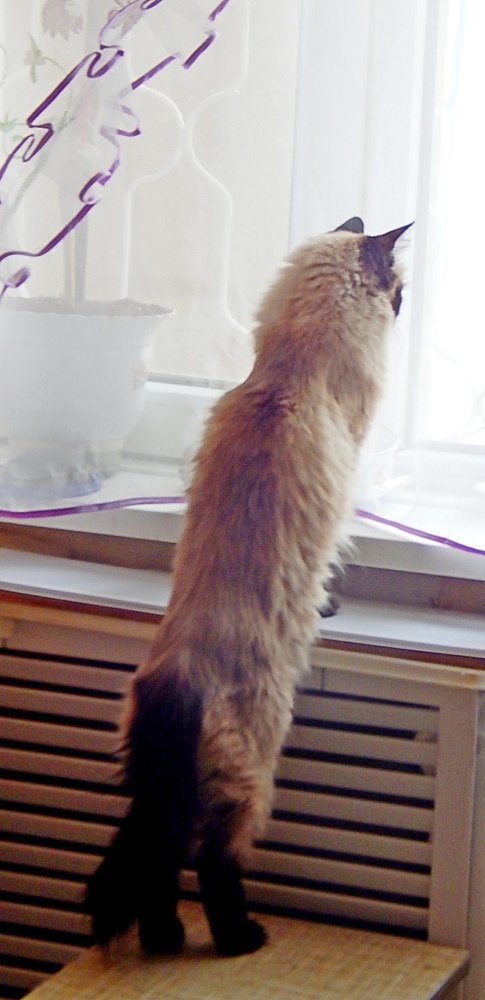 Photograph by Татьяна