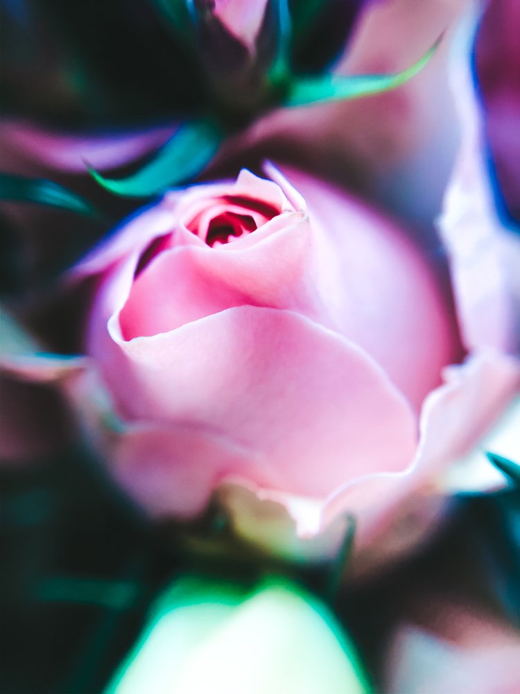 Photograph by Карина Мамлютова