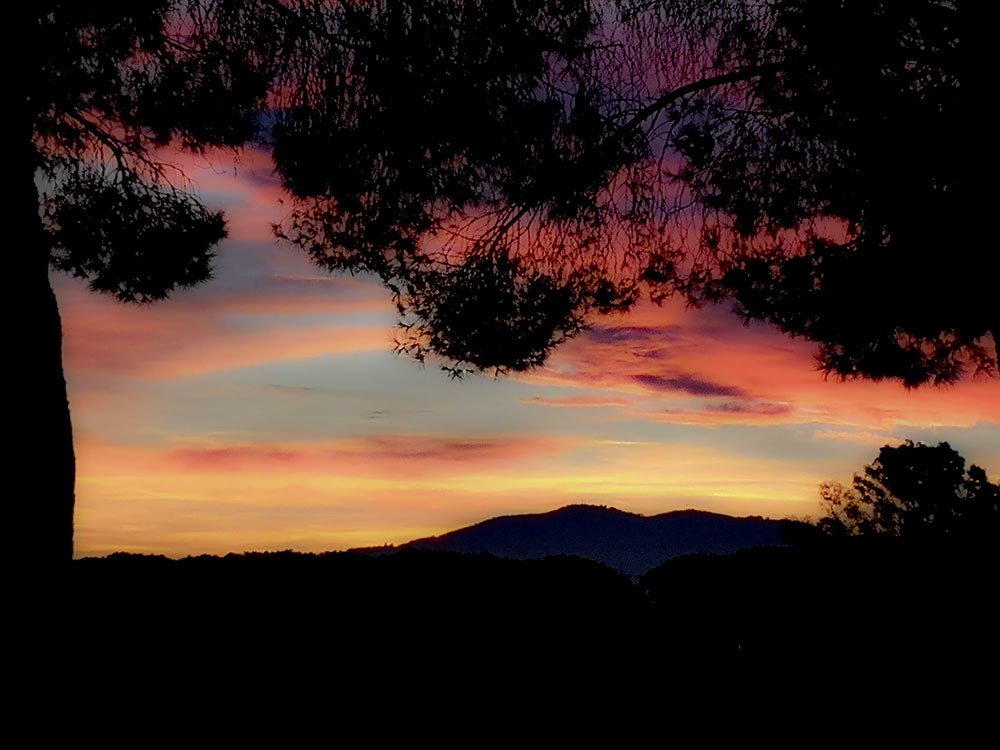 Photo #4517412