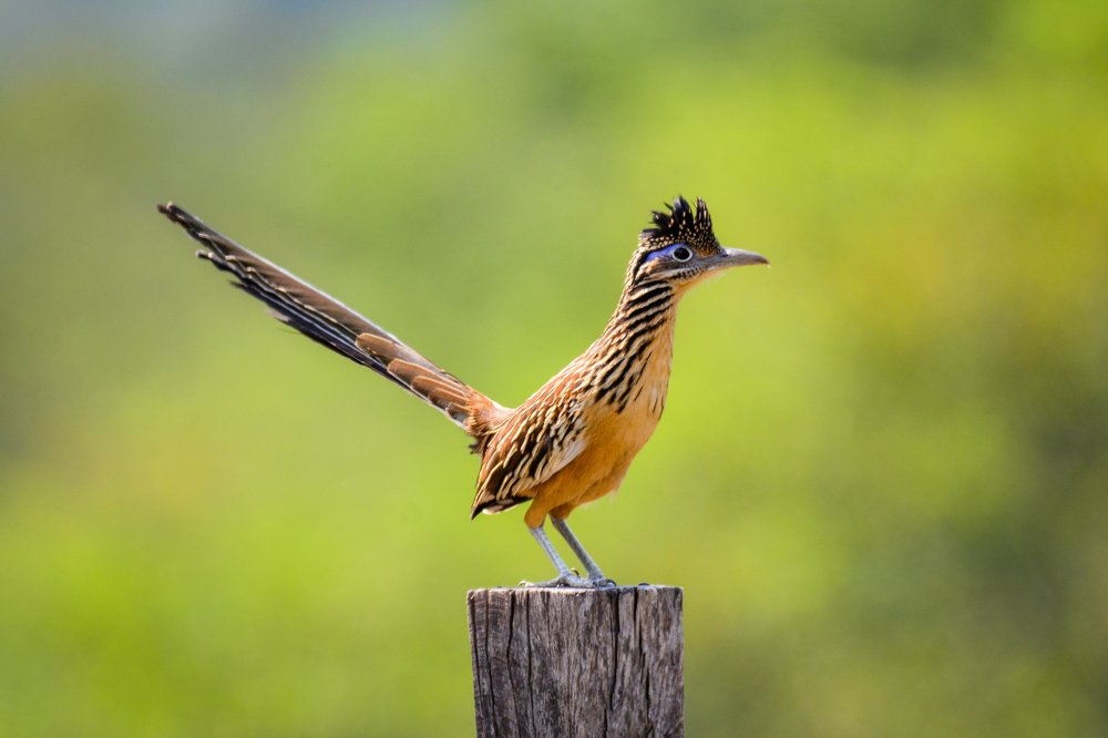 Photograph by Jairo Martinez