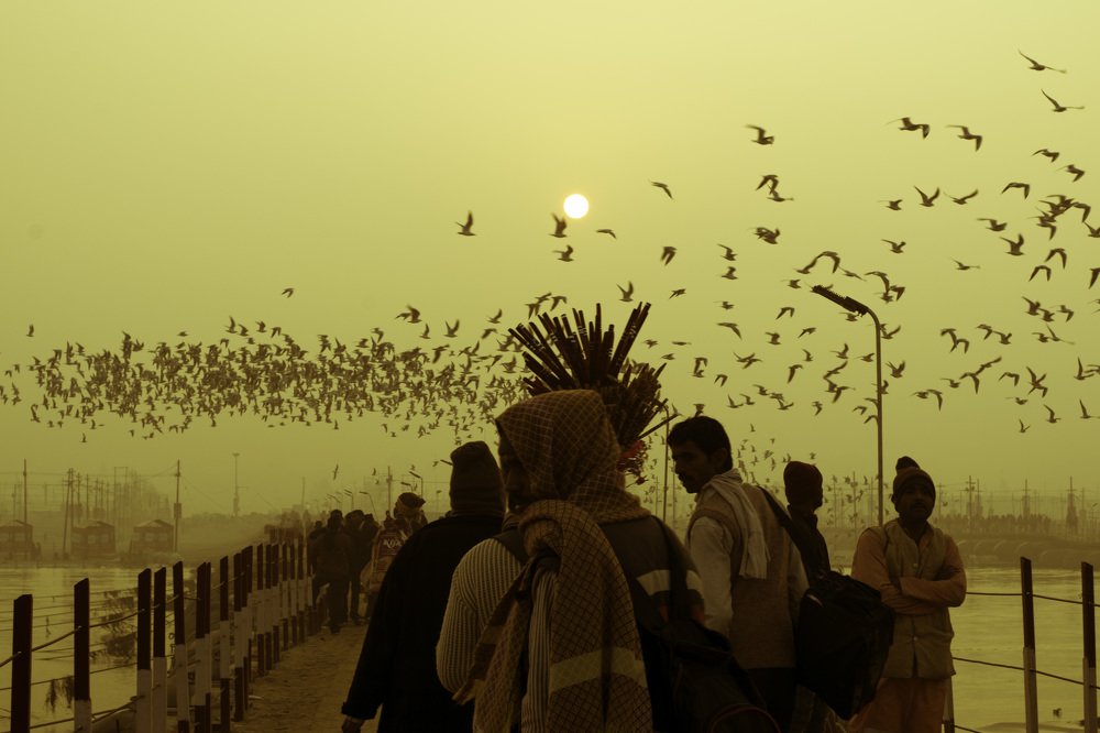 Photograph by Tiwari Rajat