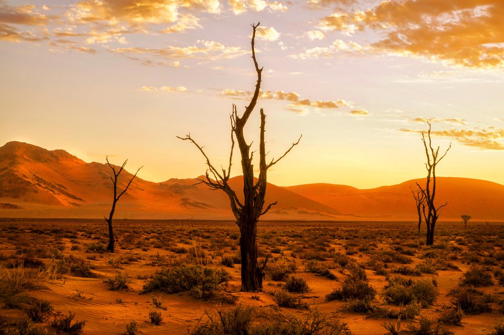 Photograph by Nuket Uluc