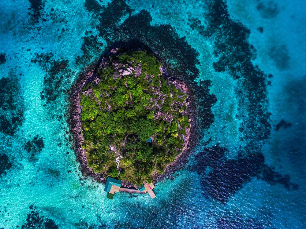 La Celula / The Cell