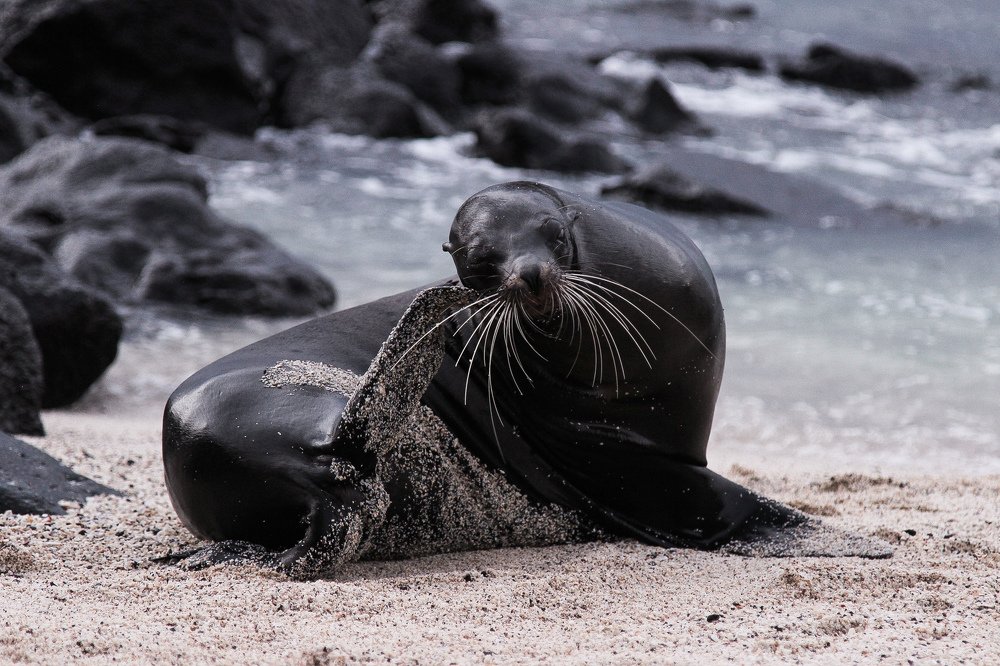 Photograph by Cristo R.