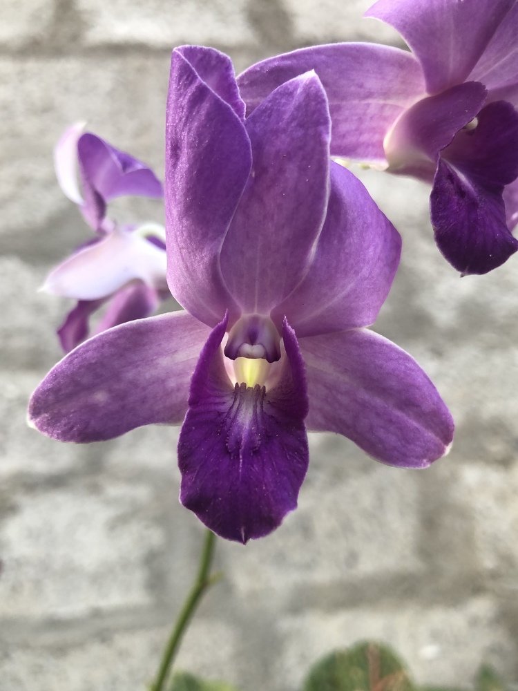 Photograph by nandana tilak thushara madampiti madampitiyage