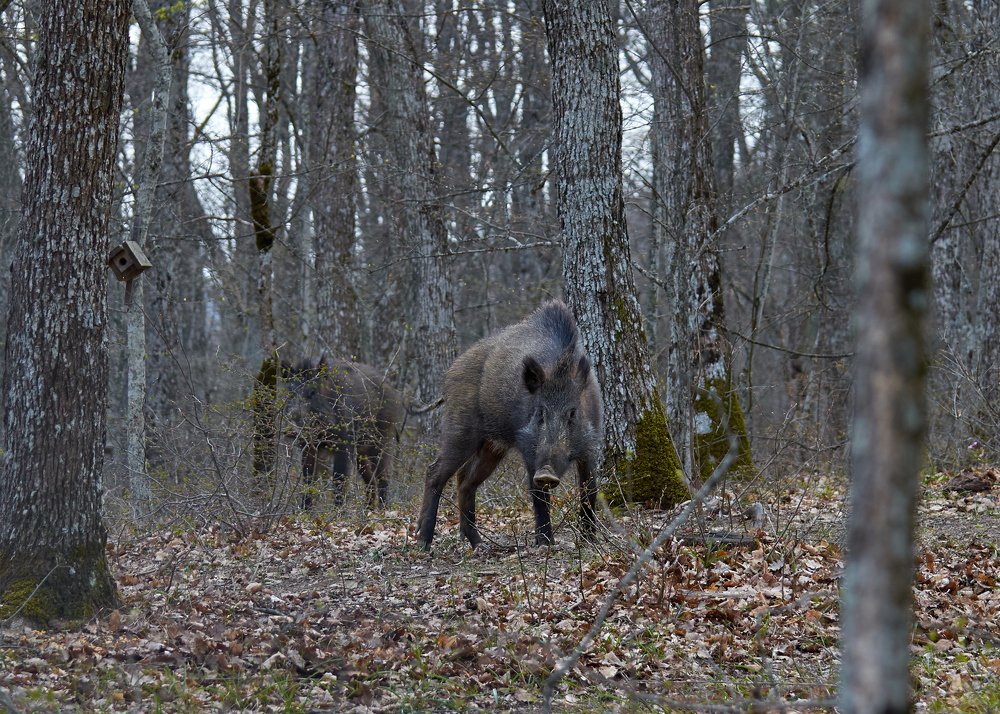 Photograph by Наталья Богач