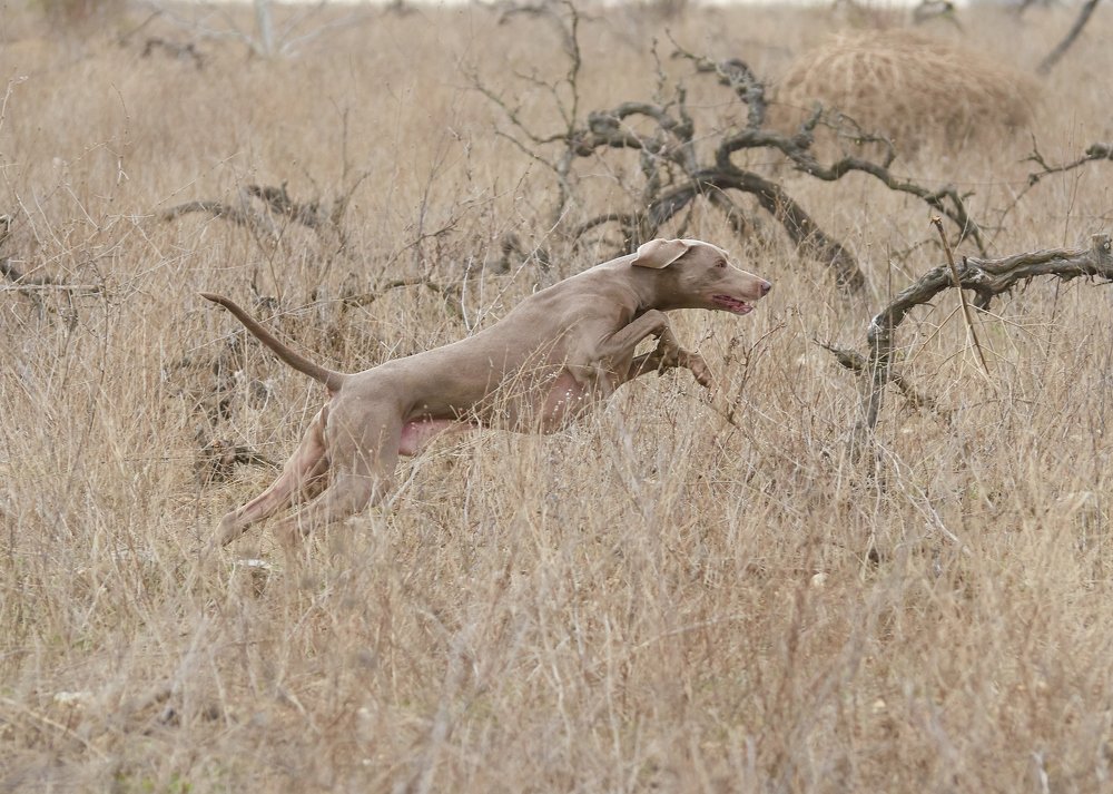 Photograph by Наталья Богач