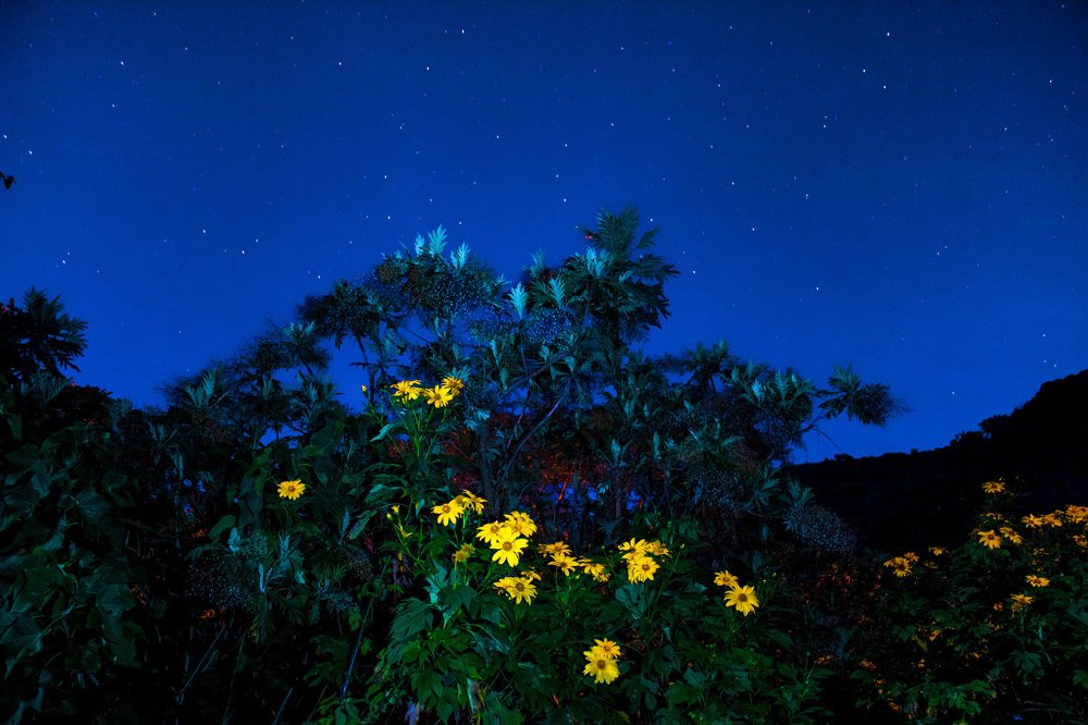 Photograph by Wendolyn Rodríguez