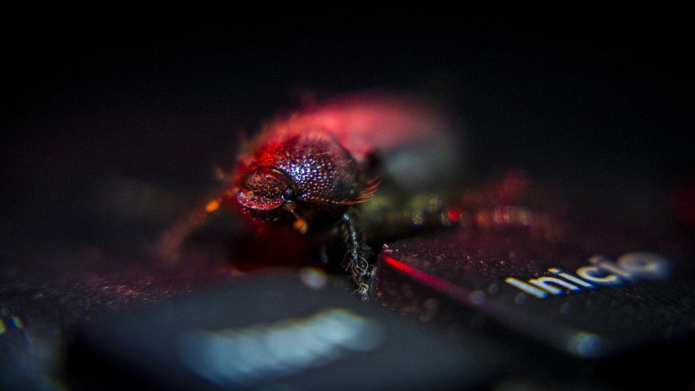 Photograph by Nahum Menjívar