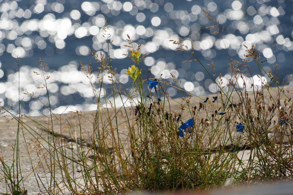 Photograph by Наталья Лягина