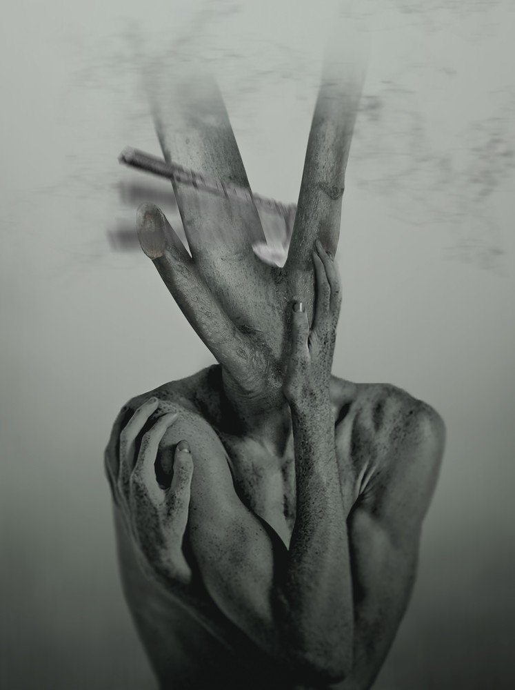 Photograph by Milad Mousavi