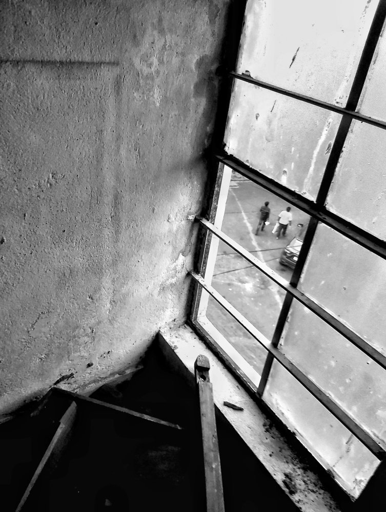 The Window