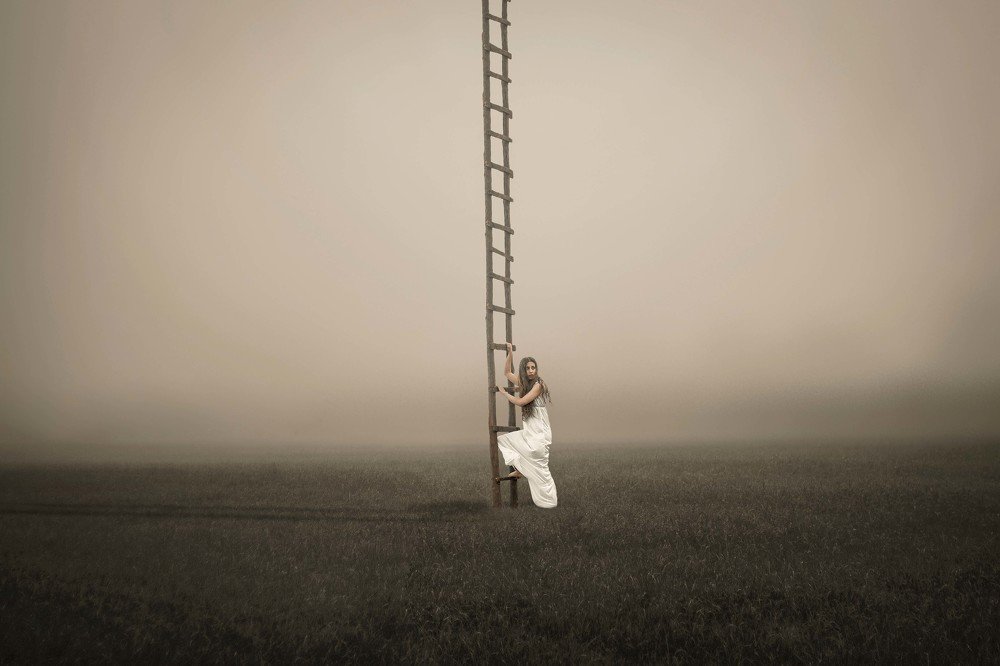 Photograph by  Mohammad Amini