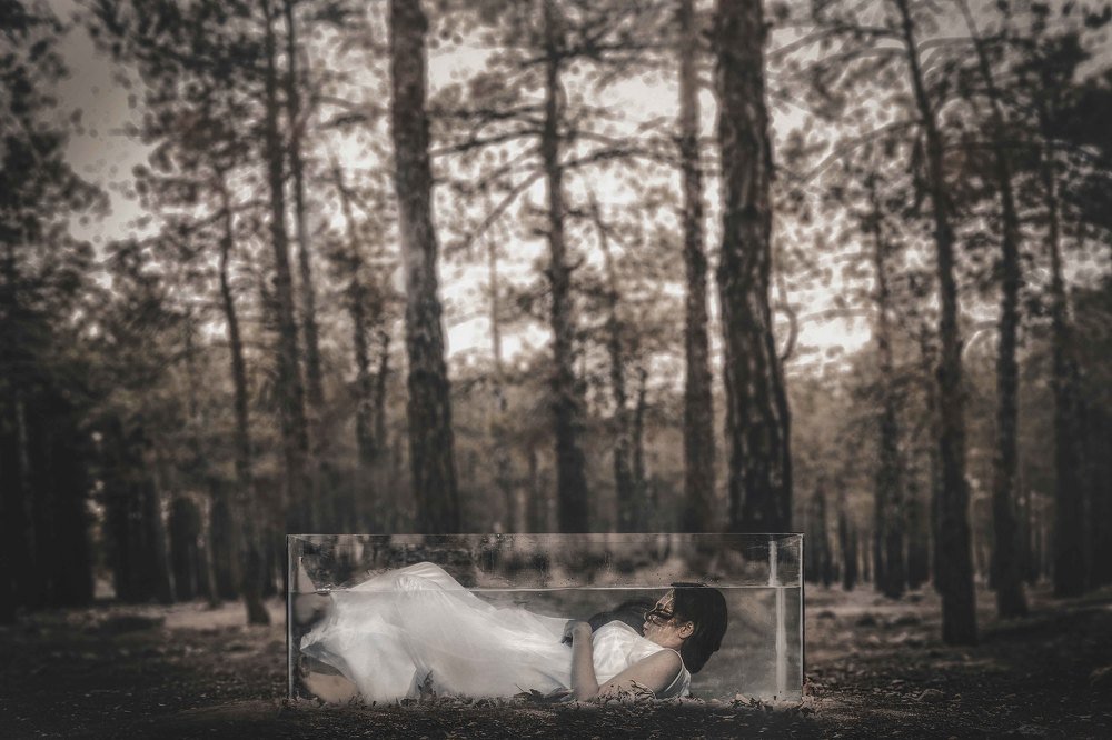 Photograph by  Mohammad Amini