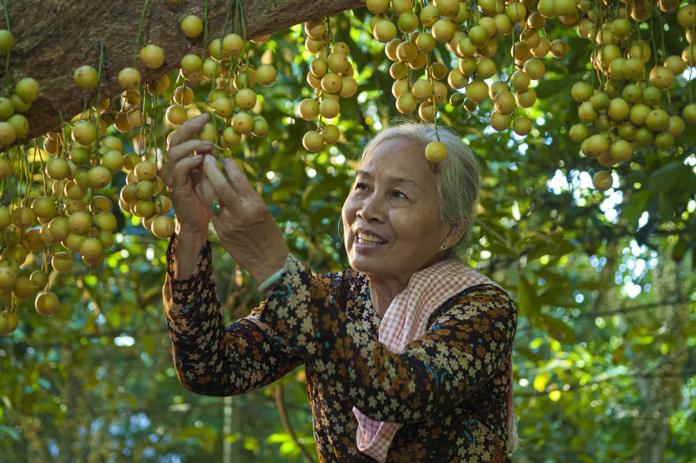 Photograph by nguyễn văn tuấn
