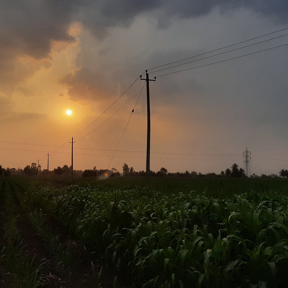 Photograph by NIRANJAN WADEKAR