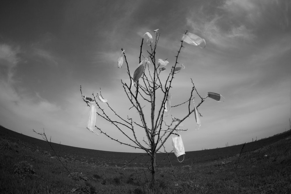 Photograph by София Шагаевская