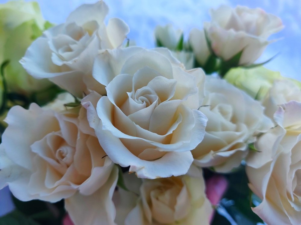 Photograph by Natalia Korobenko