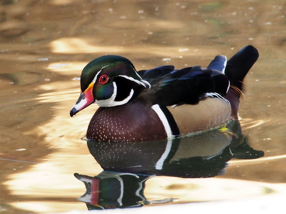 Photograph by Abdolreza Aleagha