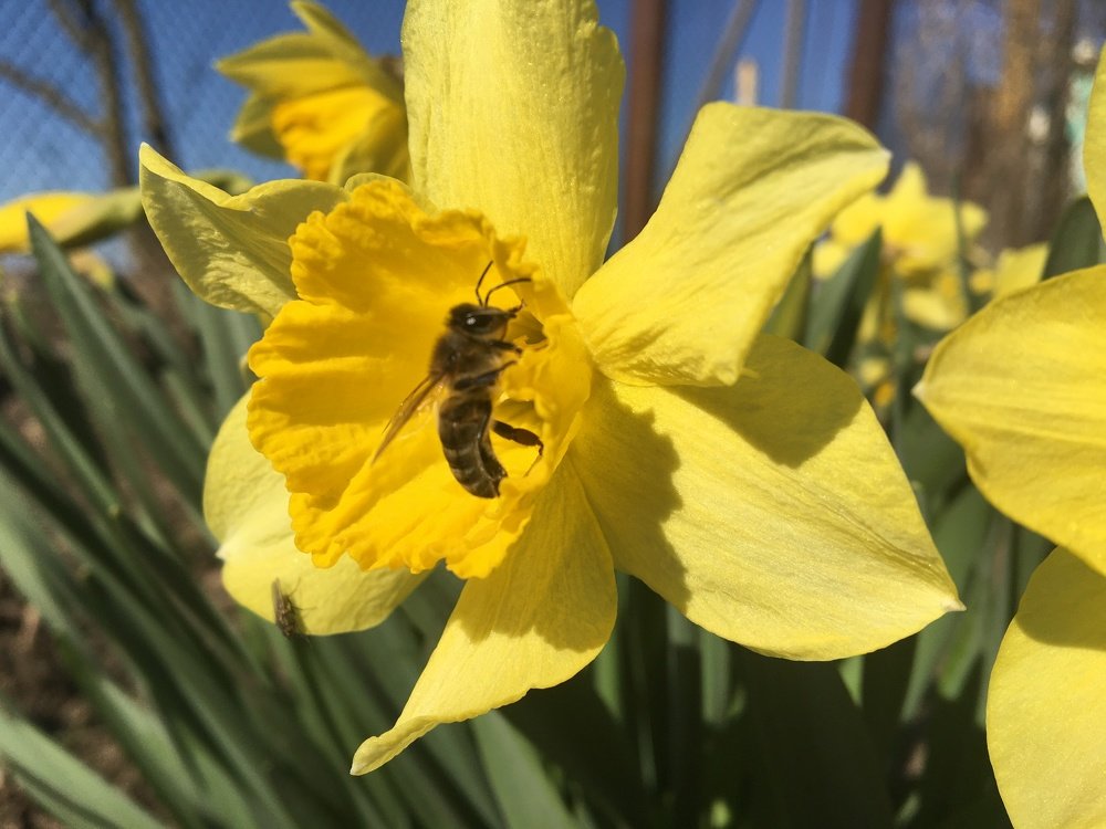 Photograph by Екатерина Толкунова