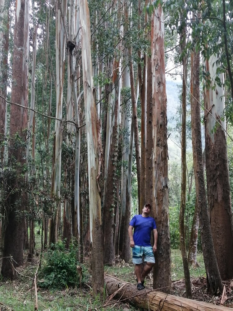 Photo #4518586