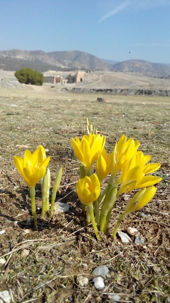 Photograph by Осипова Карина Александровна