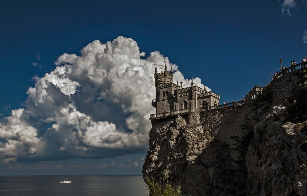 Парящие над морем