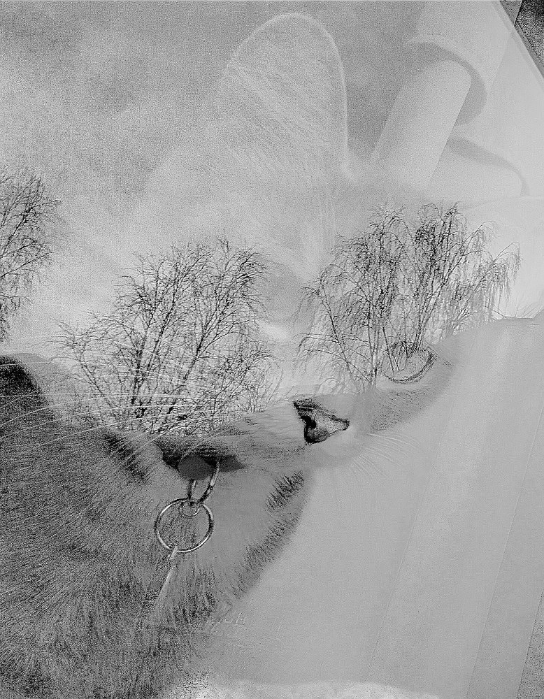 Photograph by Liza Kadochnikova