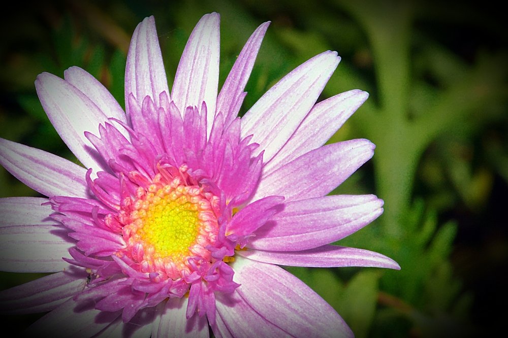 Photograph by berhane habtemariam