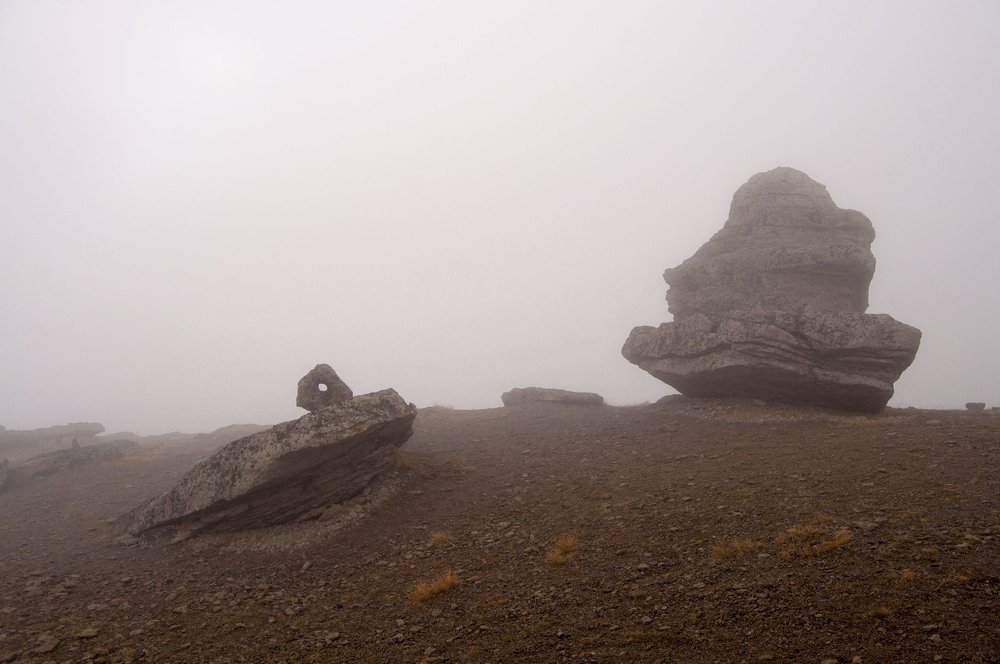 Photograph by Анастасия Езепчук