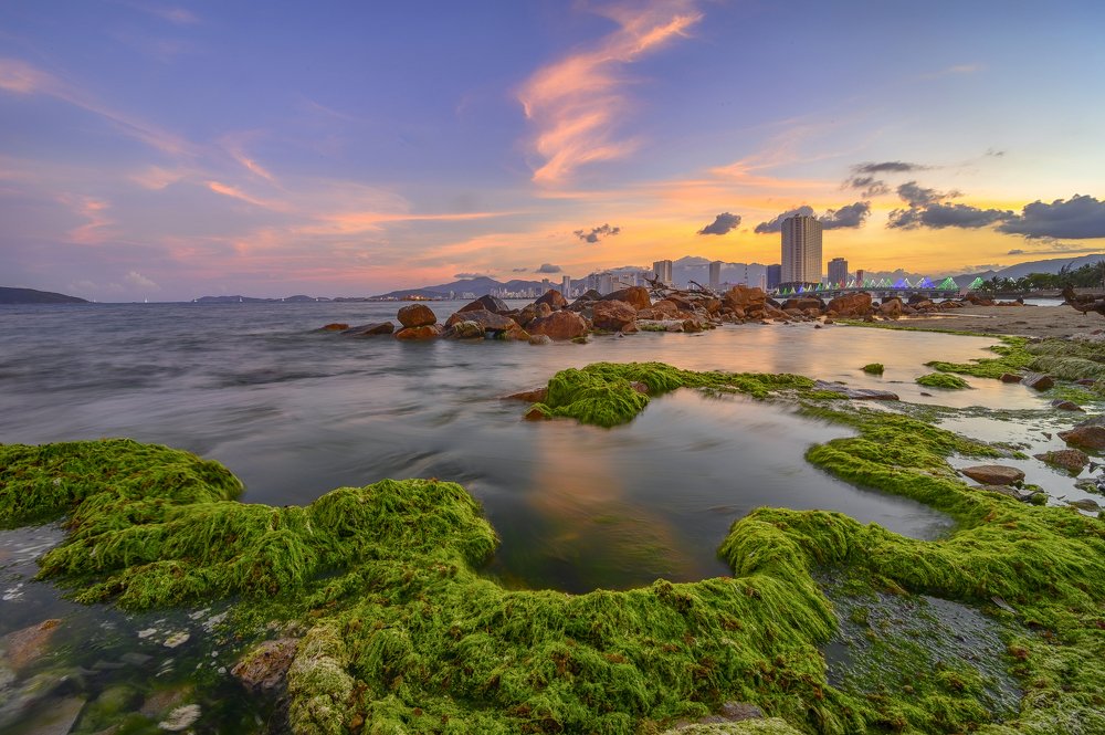 The Moss in Nha Trang city, Viet Nam