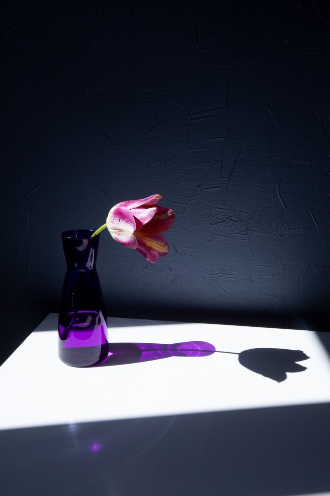 Photograph by Claudia Bertou