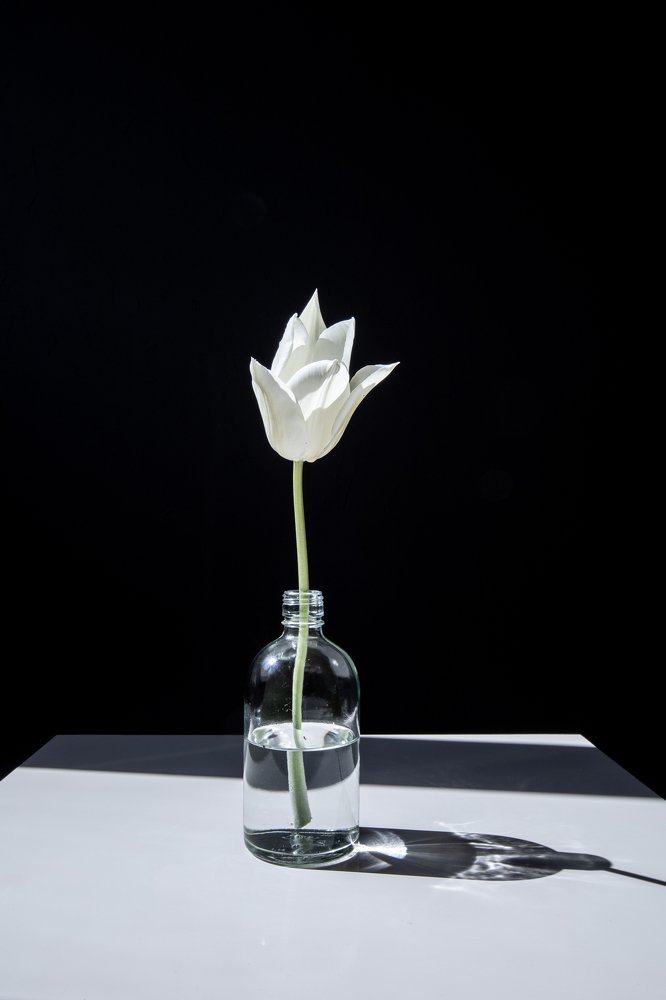 Photograph by Claudia Bertou