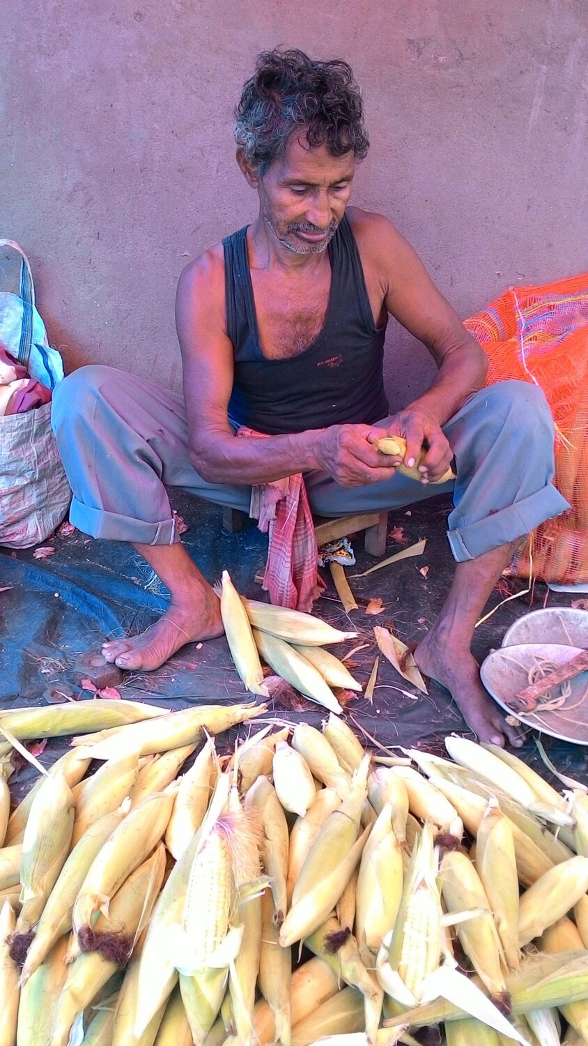 Photo #4519002