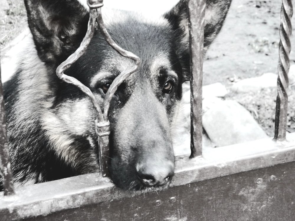 Photograph by Сергей Рапопорт