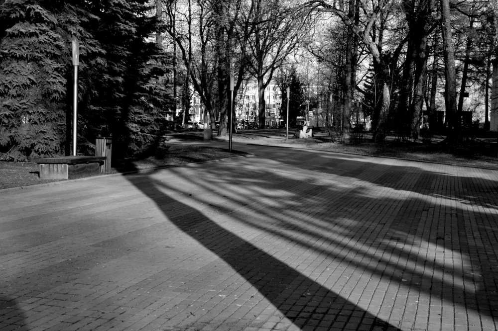 Photograph by Мария Лаврентьева