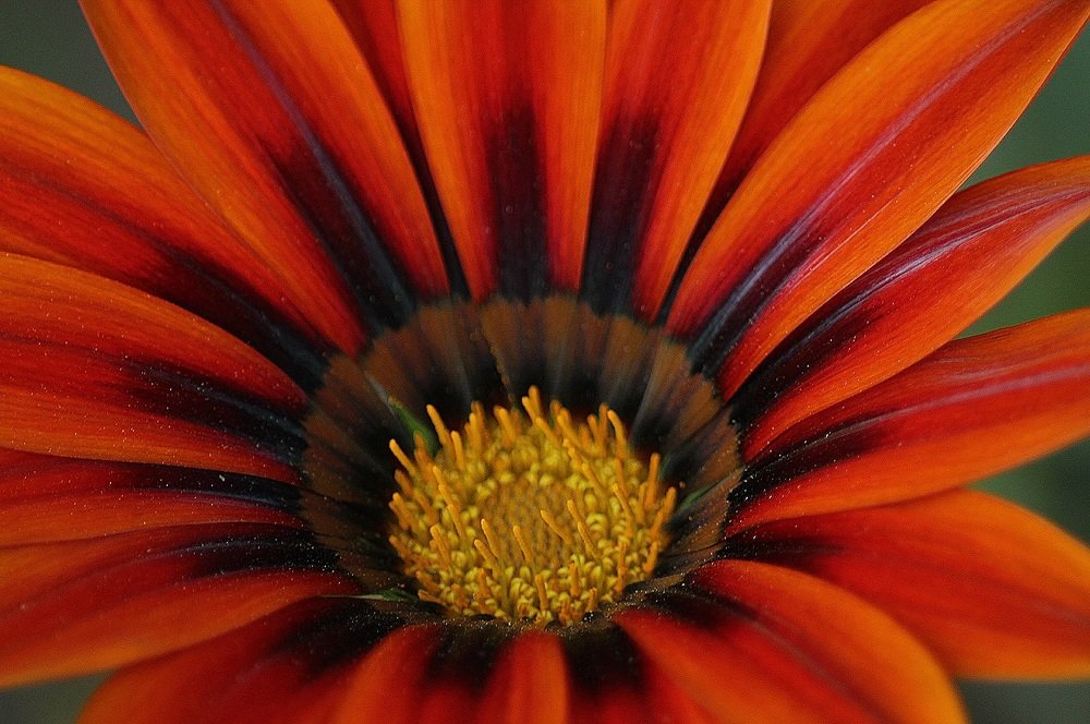 Photograph by Francisco Ferreira