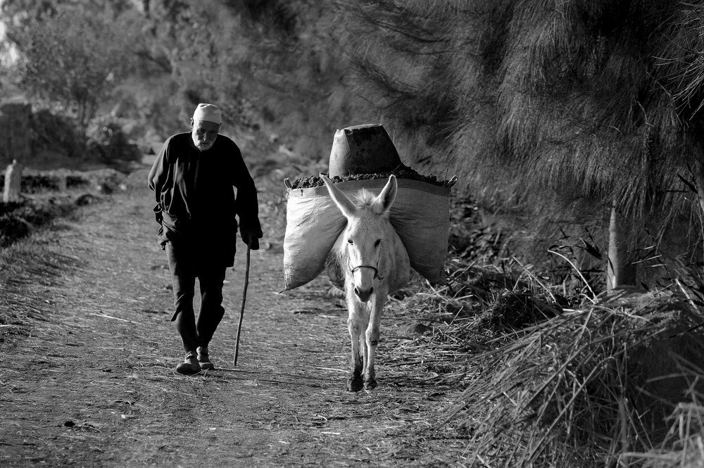 Photograph by Hashem Mohamed